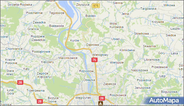 mapa Wielogłowy gmina Chełmiec, Wielogłowy gmina Chełmiec na mapie Targeo