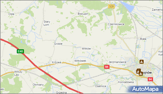 mapa Witków gmina Chojnów, Witków gmina Chojnów na mapie Targeo