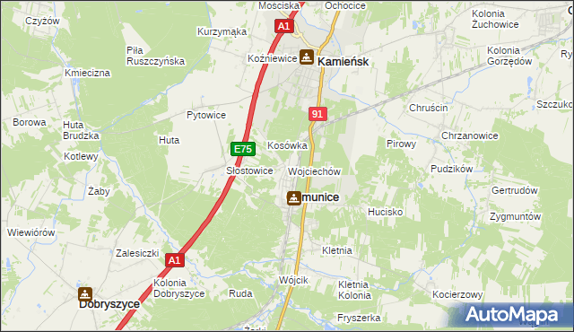 mapa Wojciechów gmina Gomunice, Wojciechów gmina Gomunice na mapie Targeo