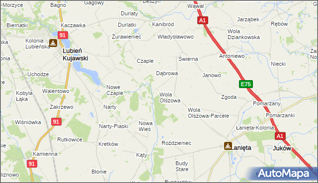 mapa Wola Olszowa, Wola Olszowa na mapie Targeo