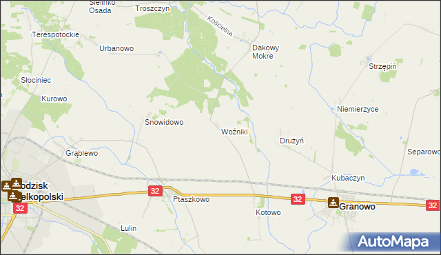 mapa Woźniki gmina Grodzisk Wielkopolski, Woźniki gmina Grodzisk Wielkopolski na mapie Targeo