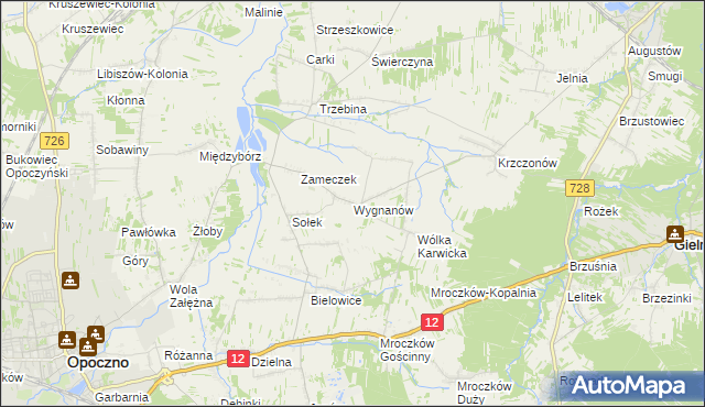 mapa Wygnanów gmina Opoczno, Wygnanów gmina Opoczno na mapie Targeo