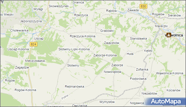 mapa Zaborze-Kolonia, Zaborze-Kolonia na mapie Targeo