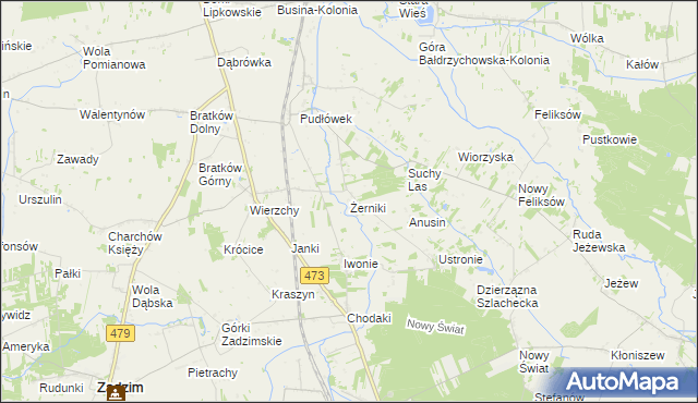 mapa Żerniki gmina Zadzim, Żerniki gmina Zadzim na mapie Targeo