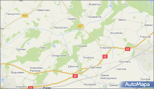 mapa Osówiec gmina Borek Wielkopolski, Osówiec gmina Borek Wielkopolski na mapie Targeo