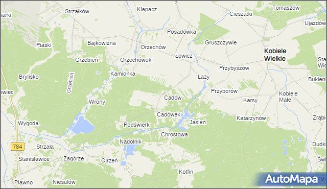 mapa Cadów, Cadów na mapie Targeo