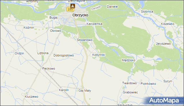 mapa Kobylniki gmina Obrzycko, Kobylniki gmina Obrzycko na mapie Targeo