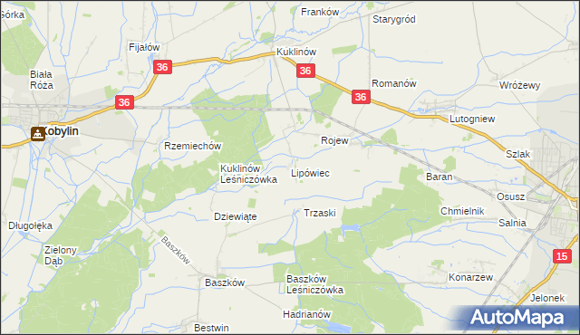 mapa Lipówiec gmina Kobylin, Lipówiec gmina Kobylin na mapie Targeo