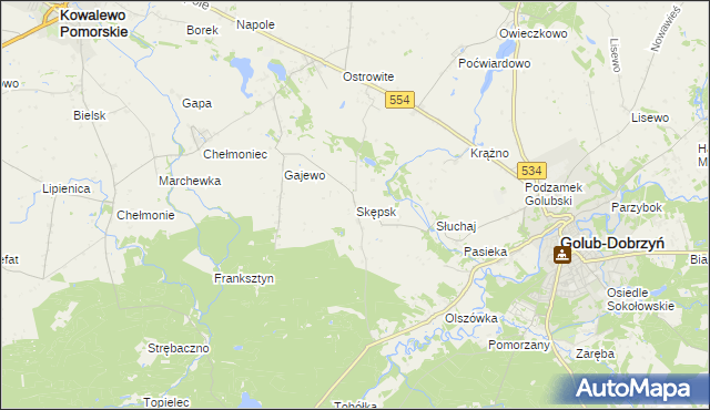 mapa Skępsk, Skępsk na mapie Targeo