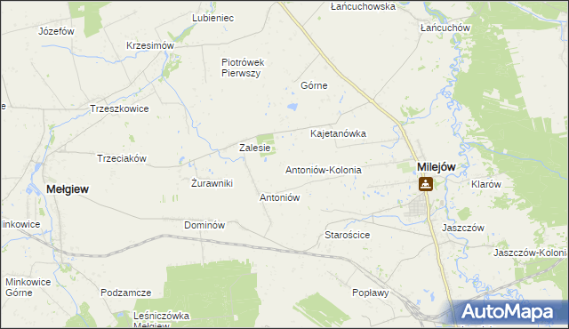 mapa Antoniów-Kolonia, Antoniów-Kolonia na mapie Targeo