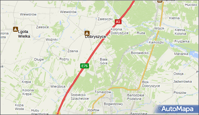 mapa Biała Góra gmina Dobryszyce, Biała Góra gmina Dobryszyce na mapie Targeo