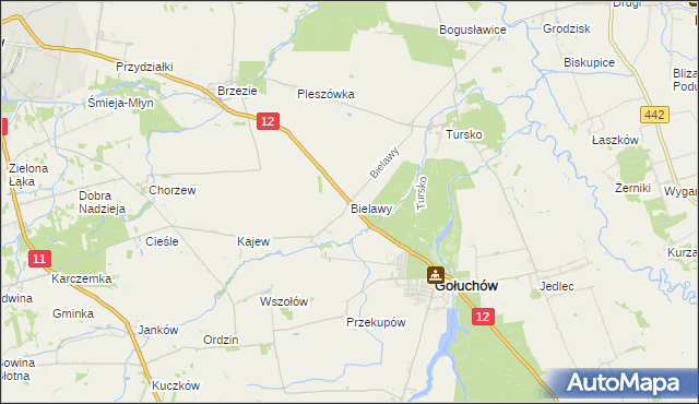 mapa Bielawy gmina Gołuchów, Bielawy gmina Gołuchów na mapie Targeo