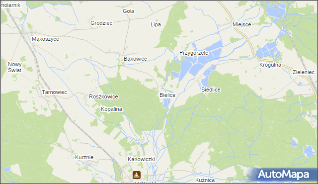 mapa Bielice gmina Świerczów, Bielice gmina Świerczów na mapie Targeo