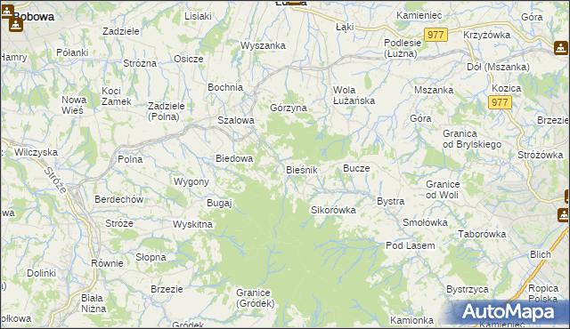 mapa Bieśnik gmina Łużna, Bieśnik gmina Łużna na mapie Targeo