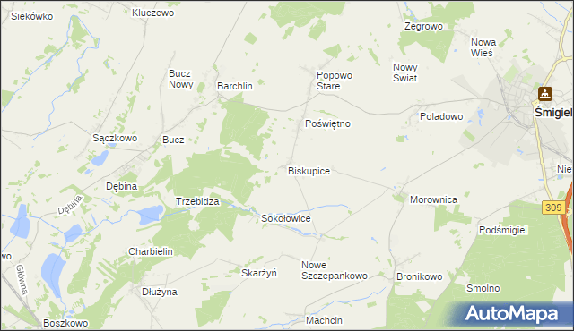 mapa Biskupice gmina Przemęt, Biskupice gmina Przemęt na mapie Targeo