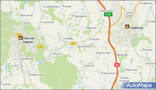 mapa Borkowice gmina Oborniki Śląskie, Borkowice gmina Oborniki Śląskie na mapie Targeo