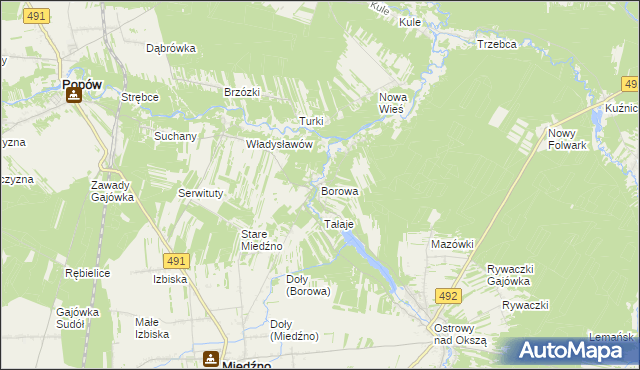 mapa Borowa gmina Miedźno, Borowa gmina Miedźno na mapie Targeo