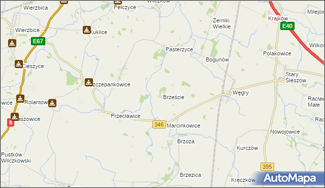 mapa Brzeście gmina Żórawina, Brzeście gmina Żórawina na mapie Targeo