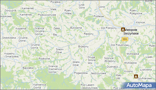 mapa Brzeziny gmina Wielopole Skrzyńskie, Brzeziny gmina Wielopole Skrzyńskie na mapie Targeo