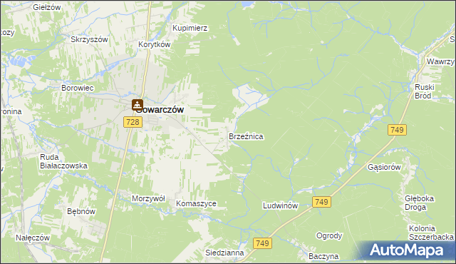 mapa Brzeźnica gmina Gowarczów, Brzeźnica gmina Gowarczów na mapie Targeo