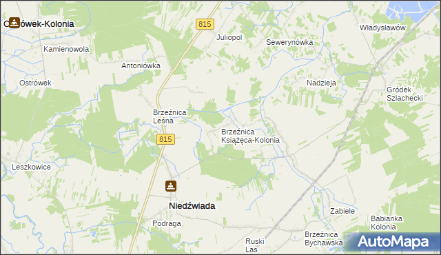 mapa Brzeźnica Książęca-Kolonia, Brzeźnica Książęca-Kolonia na mapie Targeo