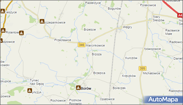 mapa Brzoza gmina Borów, Brzoza gmina Borów na mapie Targeo