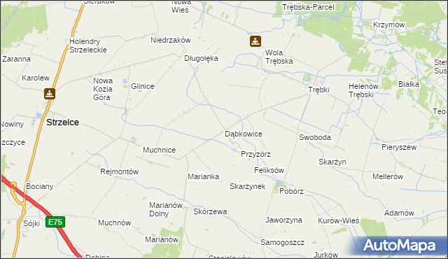 mapa Dąbkowice gmina Strzelce, Dąbkowice gmina Strzelce na mapie Targeo