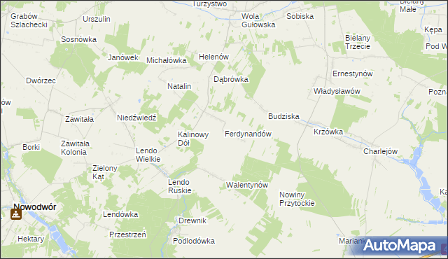 mapa Ferdynandów gmina Adamów, Ferdynandów gmina Adamów na mapie Targeo