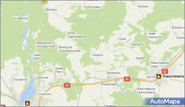 mapa Głodno gmina Rakoniewice, Głodno gmina Rakoniewice na mapie Targeo