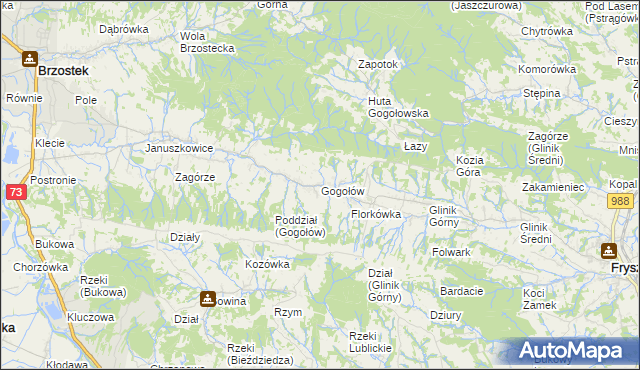 mapa Gogołów gmina Frysztak, Gogołów gmina Frysztak na mapie Targeo