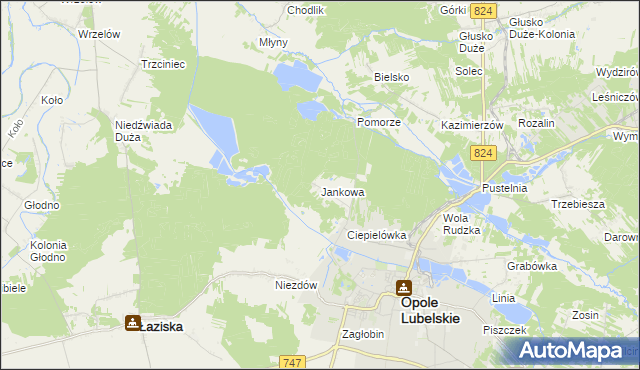 mapa Jankowa gmina Opole Lubelskie, Jankowa gmina Opole Lubelskie na mapie Targeo