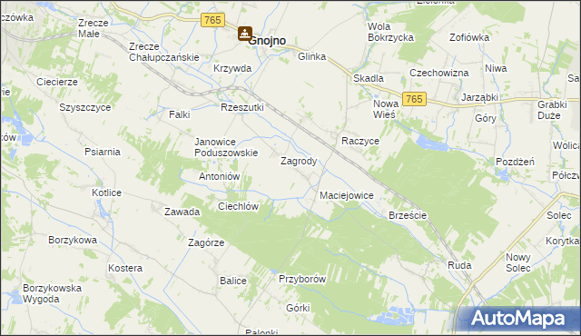 mapa Janowice Raczyckie, Janowice Raczyckie na mapie Targeo