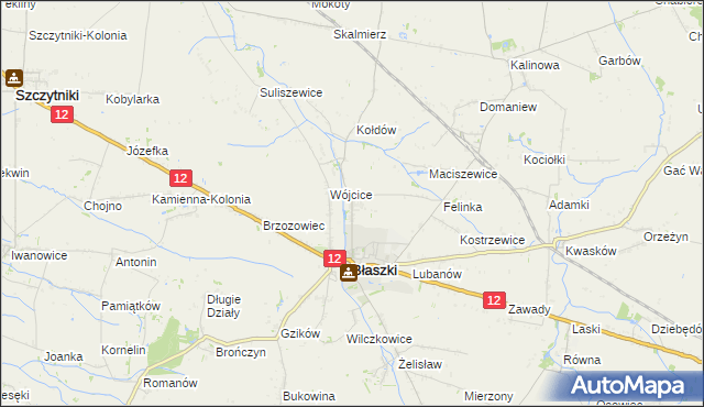 mapa Kokoszki gmina Błaszki, Kokoszki gmina Błaszki na mapie Targeo