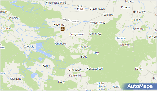 mapa Kopacz gmina Błaszki, Kopacz gmina Błaszki na mapie Targeo