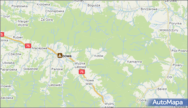 mapa Kotów gmina Łabowa, Kotów gmina Łabowa na mapie Targeo