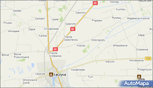 mapa Kozuby gmina Łęczyca, Kozuby gmina Łęczyca na mapie Targeo