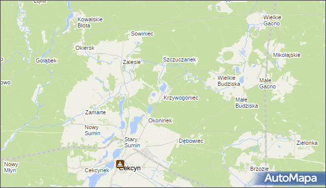 mapa Krzywogoniec, Krzywogoniec na mapie Targeo