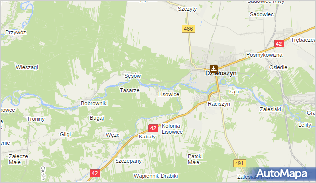 mapa Lisowice gmina Działoszyn, Lisowice gmina Działoszyn na mapie Targeo