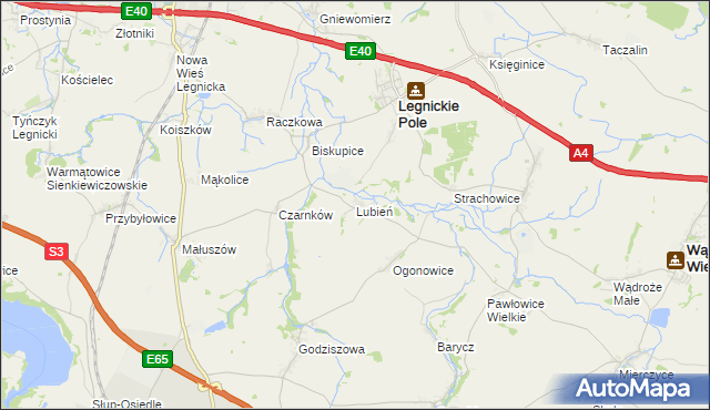 mapa Lubień gmina Legnickie Pole, Lubień gmina Legnickie Pole na mapie Targeo