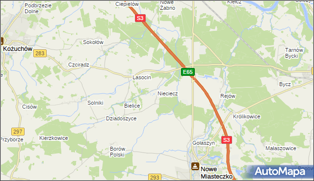 mapa Nieciecz gmina Nowe Miasteczko, Nieciecz gmina Nowe Miasteczko na mapie Targeo