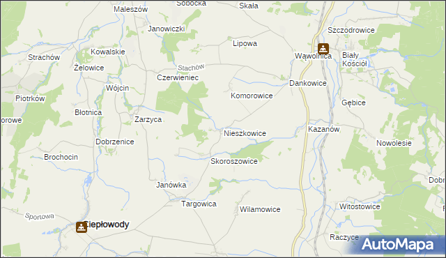 mapa Nieszkowice gmina Strzelin, Nieszkowice gmina Strzelin na mapie Targeo