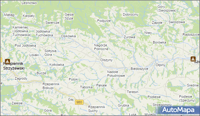 mapa Olszyny gmina Rzepiennik Strzyżewski, Olszyny gmina Rzepiennik Strzyżewski na mapie Targeo