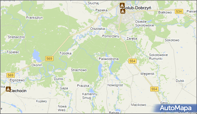 mapa Paliwodzizna, Paliwodzizna na mapie Targeo