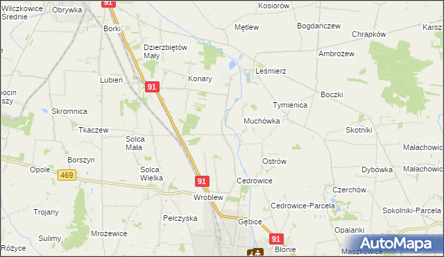 mapa Parzyce gmina Ozorków, Parzyce gmina Ozorków na mapie Targeo