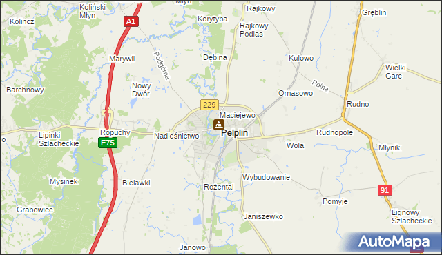 mapa Pelplin, Pelplin na mapie Targeo