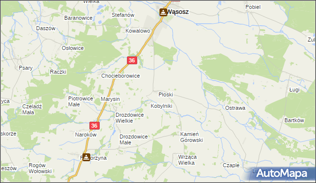 mapa Płoski, Płoski na mapie Targeo