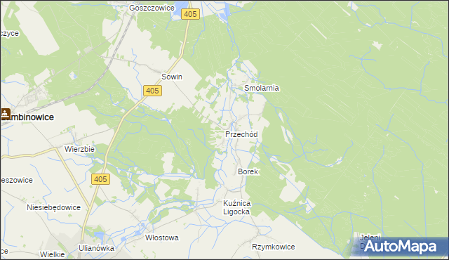 mapa Przechód gmina Korfantów, Przechód gmina Korfantów na mapie Targeo