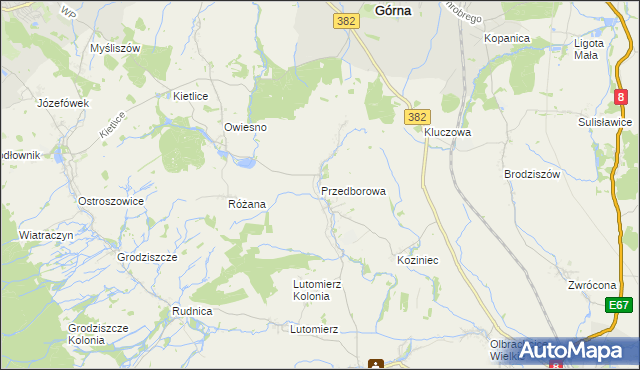 mapa Przedborowa, Przedborowa na mapie Targeo