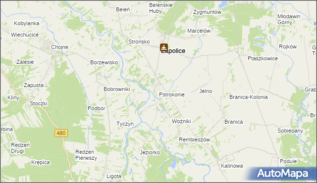 mapa Pstrokonie, Pstrokonie na mapie Targeo