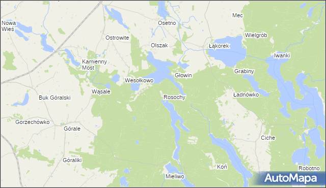 mapa Rosochy gmina Zbiczno, Rosochy gmina Zbiczno na mapie Targeo